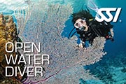open water diver sm